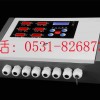 冷庫氨報(bào)警器|氨氣泄漏報(bào)警器