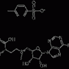 供應(yīng) S-腺甘基蛋氨酸，CAS# 17176-17-9