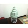 BAD61防爆燈L100W70W150W壁式、吸頂式