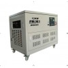 伊藤12KW汽油發(fā)電機(jī)|多燃料發(fā)電機(jī)組YT12RGF