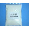瓊脂粉，瓊脂粉價格，福建瓊脂粉泉州供應商電話，瓊脂粉含量