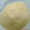 【耐今】供應大蒜粉，大蒜粉最新報價