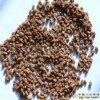 葫蘆巴膠、葫蘆巴膠生產廠家、葫蘆巴膠價格、葫蘆巴膠用途