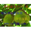 香蘭素，廠家直供香蘭素