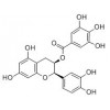 供應(yīng)表兒茶素沒(méi)食子酸酯