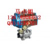Q611F-DN25氣動(dòng)片式球閥