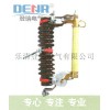 供應(yīng)RW11-10/100,RW11-10/100價格實惠