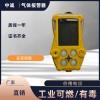 手持式甲醇?xì)怏w檢測(cè)儀