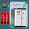 0.5T燃?xì)庹羝仩t 全自動燃?xì)庹羝l(fā)生器